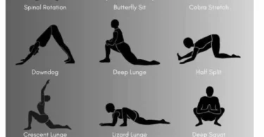 full body workout plan