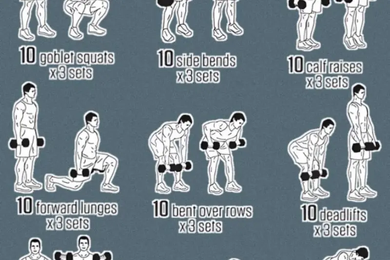 nutrition tips for beginners