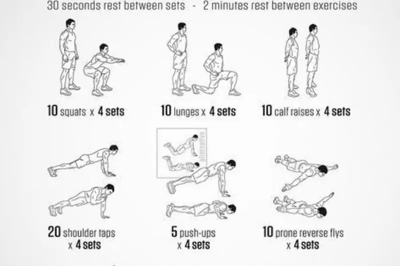 what Is a full body workout plan